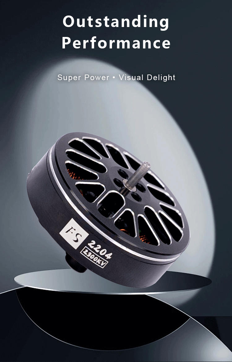 FS2204 Motor (1)